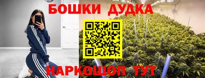 прущая мука Гатчина