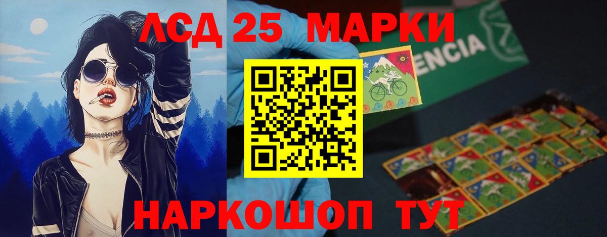 Новоалександровск  LSD-25 экстази кислота  Вход с VPN  блэк спрут tor  LSD-25 экстази кислота 